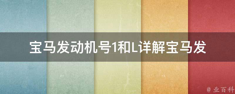 宝马发动机号1和L_详解宝马发动机号1和L的区别及含义。