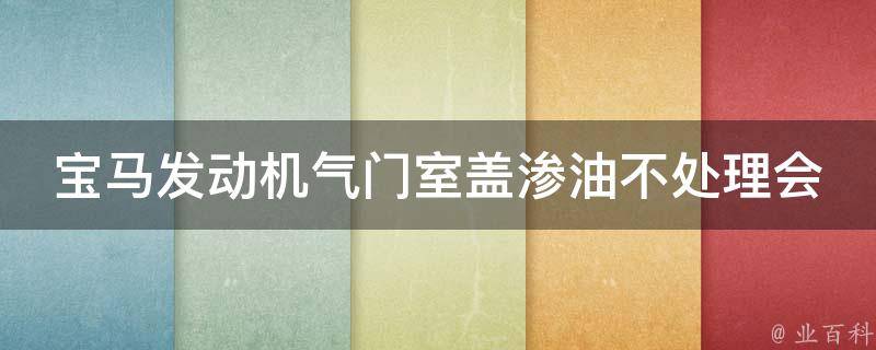 宝马发动机气门室盖渗油不处理会有什么后果(详解气门室盖渗油的危害及解决方法)