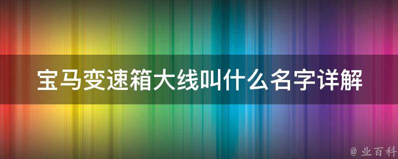 宝马变速箱大线叫什么名字_详解宝马变速箱大线的作用和维修方法。