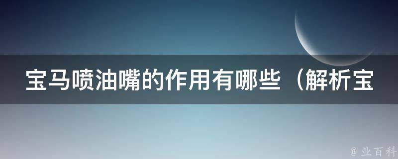 宝马喷油嘴的作用有哪些（解析宝马喷油嘴的原理和维修方法）。