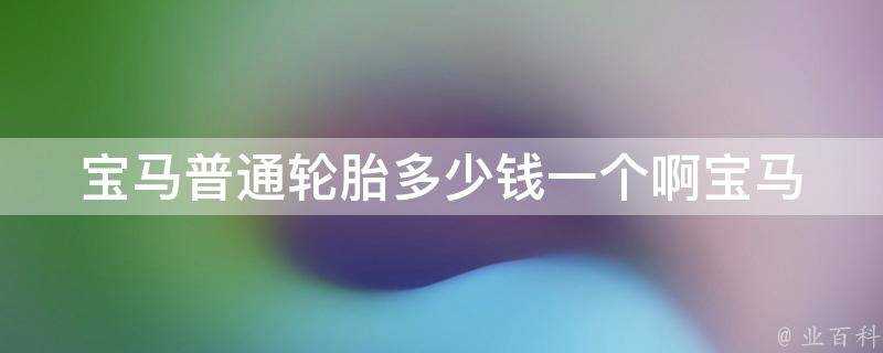 宝马普通轮胎多少钱一个啊_宝马轮胎**查询及选购推荐