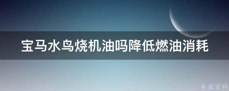 宝马水鸟烧机油吗_降低燃油消耗，提升驾驶体验的好选择