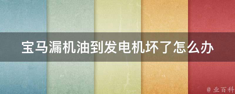 宝马漏机油到发电机坏了怎么办(教你快速解决宝马发电机故障的方法)。