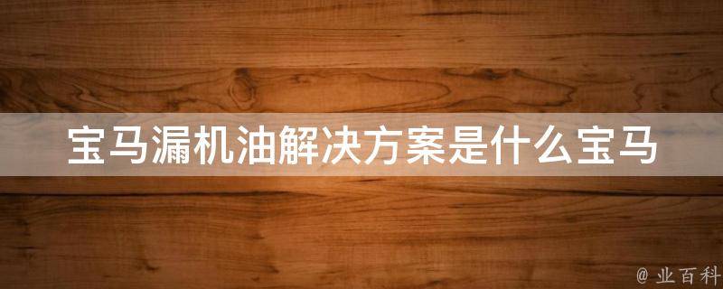 宝马漏机油解决方案是什么_宝马车主必看：5种有效解决宝马漏机油的方法。