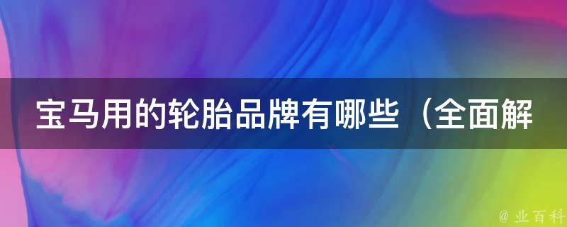 宝马用的轮胎品牌有哪些（全面解析宝马车型常用轮胎品牌及性能对比）