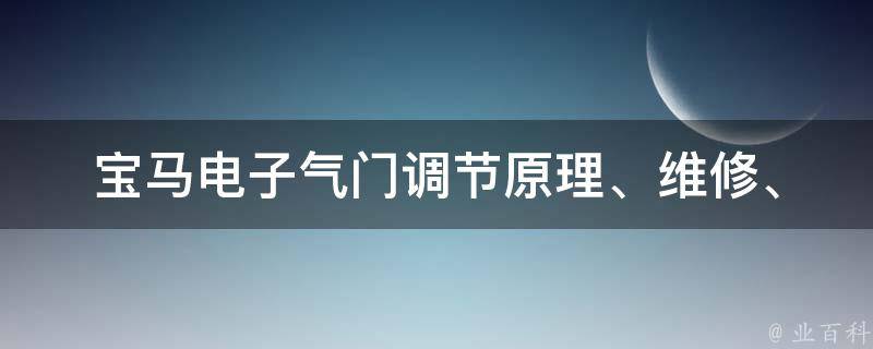 宝马电子气门调节_原理、维修、故障排除详解