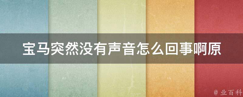 宝马突然没有声音怎么回事啊_原因分析及解决方法