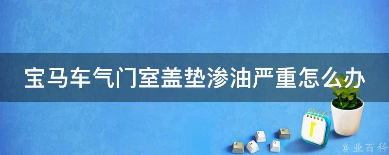 宝马车气门室盖垫渗油严重怎么办_详细解决方案分享