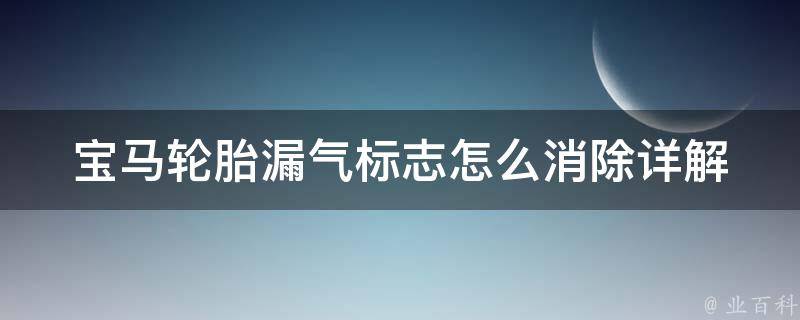 宝马轮胎漏气标志怎么消除(详解宝马轮胎漏气标志消除方法)