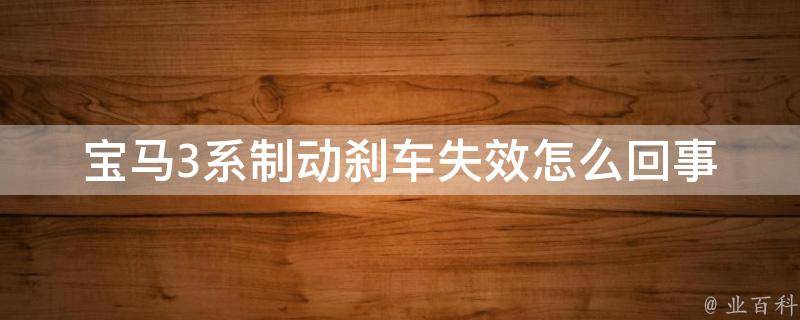 宝马3系制动刹车失效怎么回事(原因分析及解决方法)