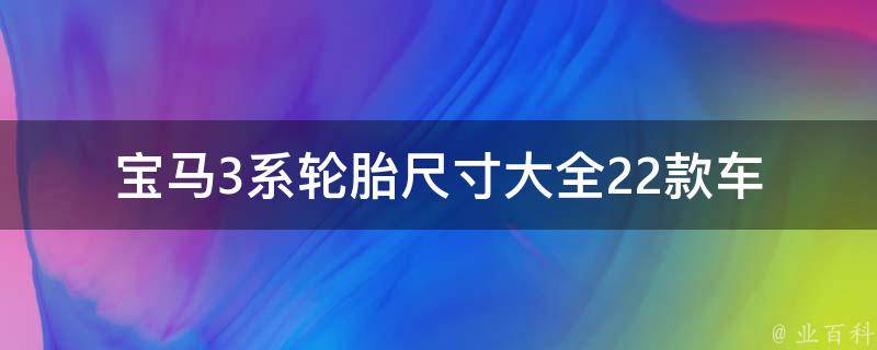 宝马3系轮胎尺寸大全_22款车型适用，附详细参数对比表