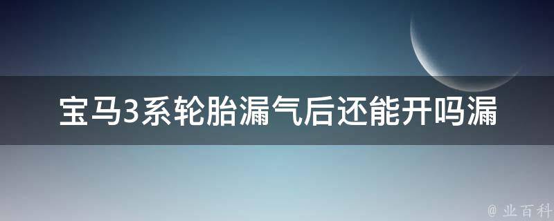 宝马3系轮胎漏气后还能开吗(漏气原因、修补方法、安全提示)