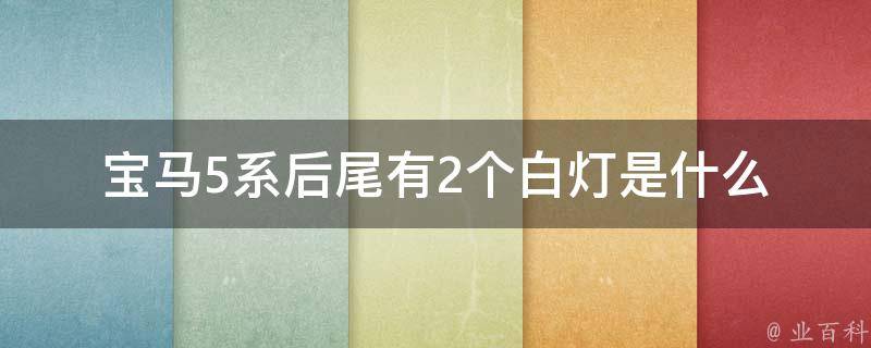 宝马5系后尾有2个白灯是什么_详解宝马5系后尾灯的种类及功能。