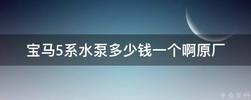 宝马5系水泵多少钱一个啊_原厂**对比+换水泵注意事项