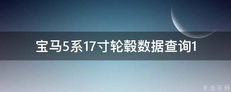 宝马5系17寸轮毂数据查询(13款车型详细参数)