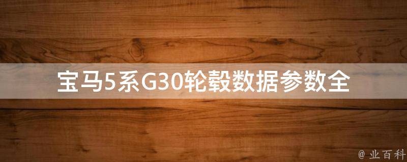 宝马5系G30轮毂数据参数_全面解析，包含尺寸、材质、重量等