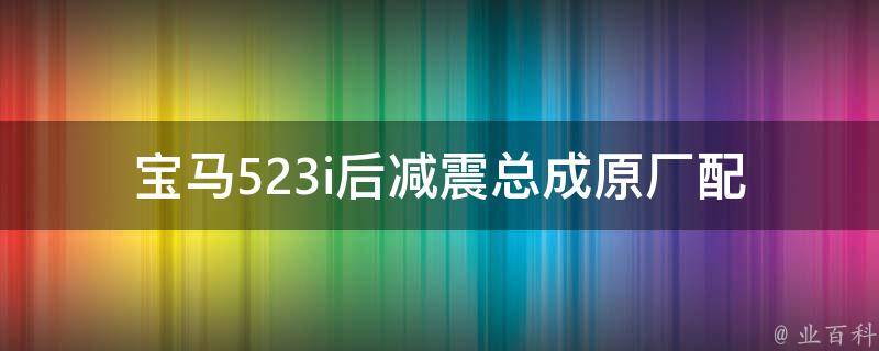 宝马523i后减震总成_原厂配件 vs 市场通用配件，如何选择更优惠的选项。