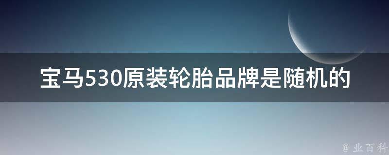 宝马530原装轮胎品牌是随机的吗_官方解答及用户评价