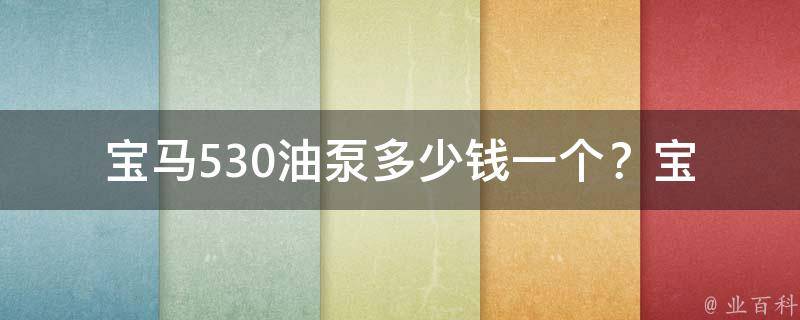 宝马530油泵多少钱一个？(宝马530油泵**、宝马530油泵品牌推荐)