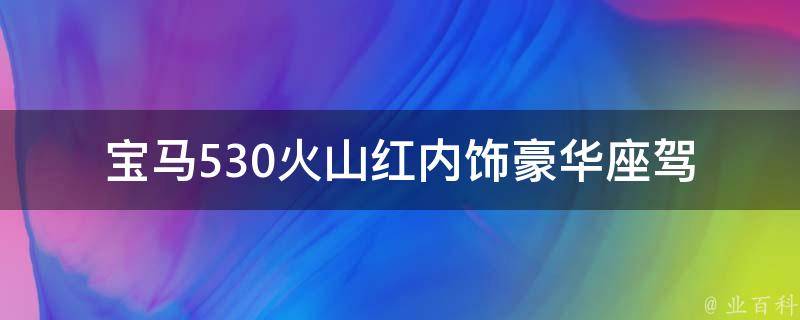 宝马530火山红内饰_豪华座驾，内饰更显高贵