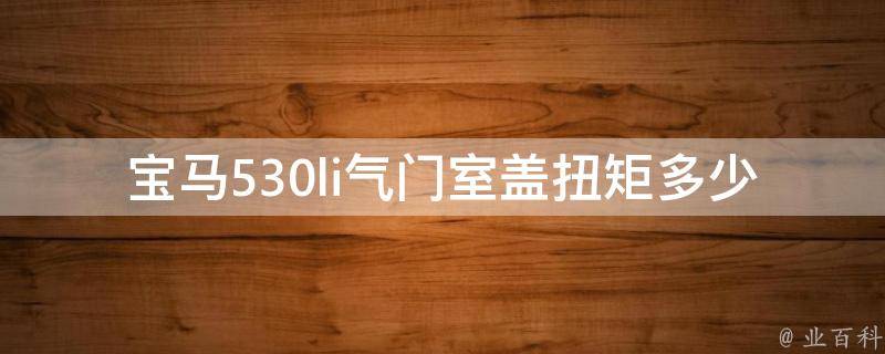 宝马530li气门室盖扭矩多少正常(详解气门室盖扭矩的标准数值和检测方法)