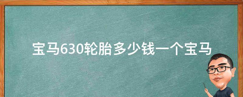 宝马630轮胎多少钱一个_宝马轮胎品牌推荐、选购攻略