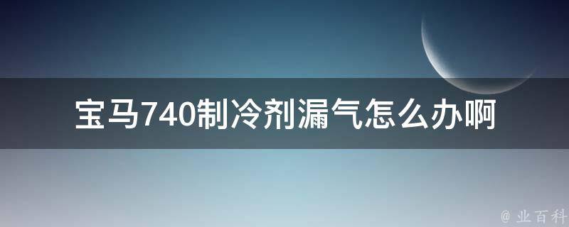 宝马740制冷剂漏气怎么办啊(详细解决方法及维修费用参考)