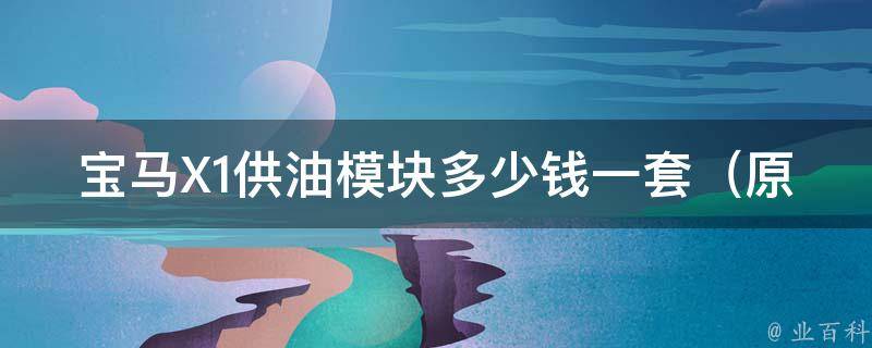 宝马X1供油模块多少钱一套（原厂与适配款对比，维修费用省钱攻略）