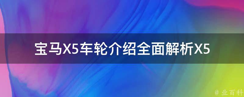 宝马X5车轮介绍_全面解析X5车型的轮胎规格、品牌与性能。