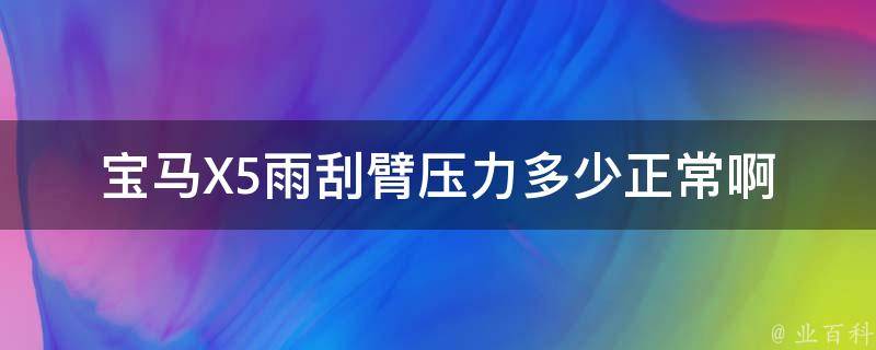 宝马X5雨刮臂压力多少正常啊_详解雨刮臂压力与保养方法