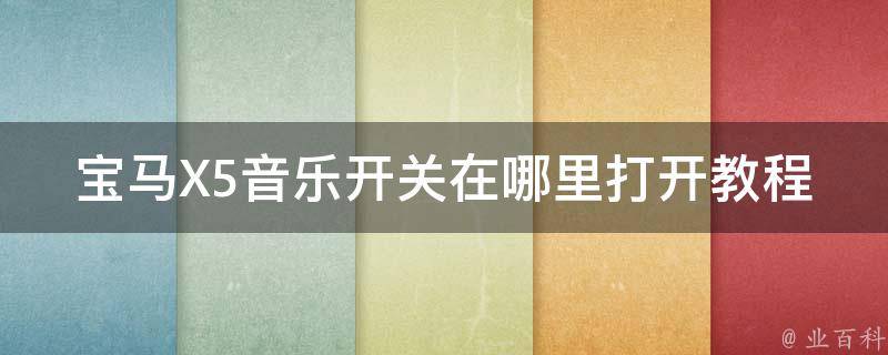 宝马X5音乐开关在哪里打开教程_详解宝马X5音响系统设置方法