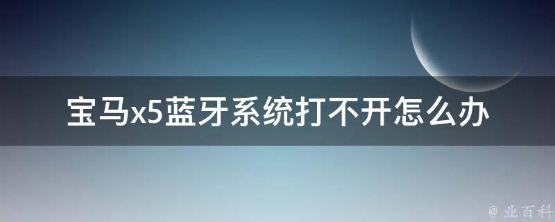 宝马x5蓝牙系统打不开怎么办_解决方法大全