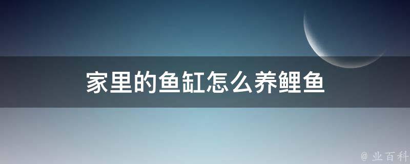 家里的鱼缸怎么养鲤鱼 