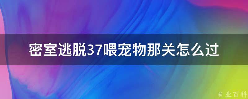 密室逃脱37喂宠物那关怎么过 