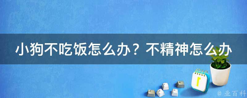 小狗不吃饭怎么办？不精神怎么办？吃什么药_解决小狗食欲不振的10个方法