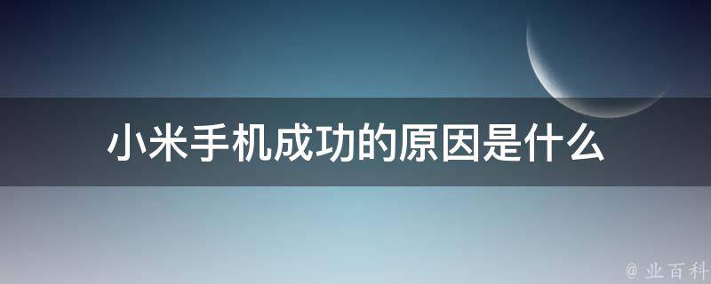 小米手机成功的原因是什么 