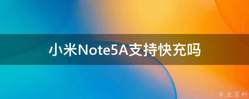 小米Note5A支持快充吗 