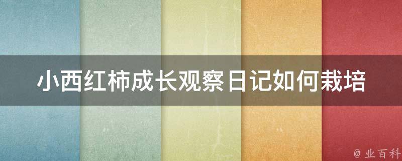 小西红柿成长观察日记_如何栽培健康又美味的西红柿