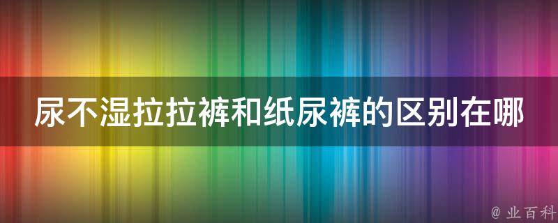 尿不湿拉拉裤和纸尿裤的区别在哪里(新手爸妈必看选择哪种更适合宝宝)