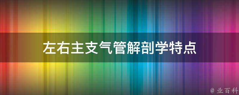 左右主支气管解剖学特点 