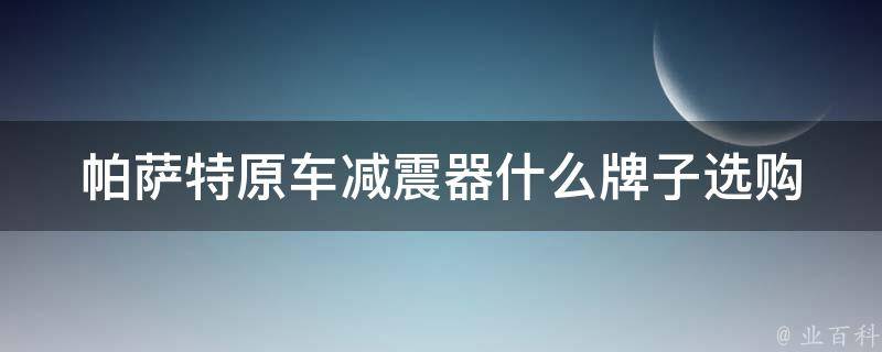 ***原车减震器什么牌子(选购指南及用户口碑对比)