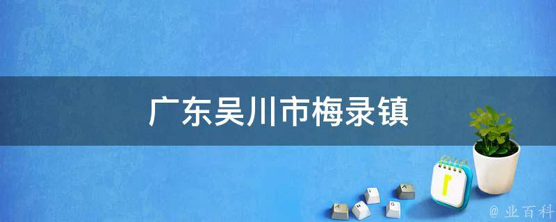 广东吴川市梅录镇 