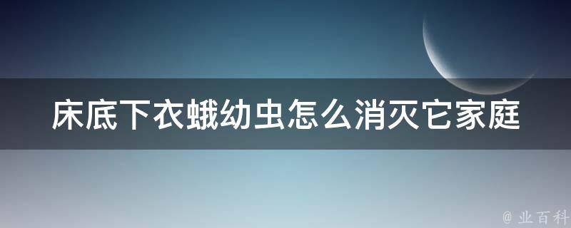 床底下衣蛾幼虫怎么消灭它_家庭清洁必备：5种有效消灭衣蛾幼虫的方法。