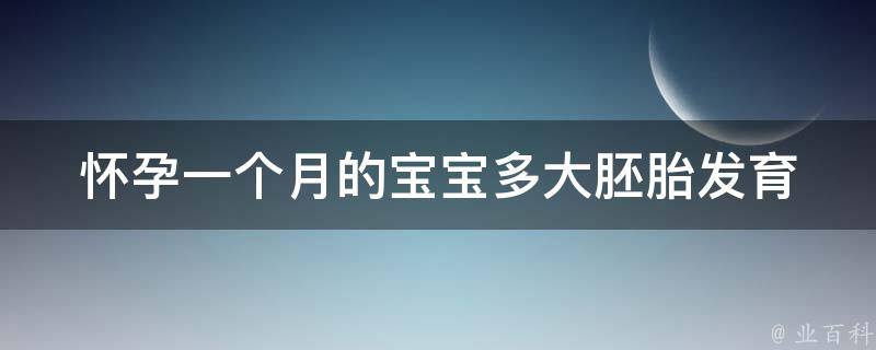 怀孕一个月的宝宝多大_胚胎发育详解