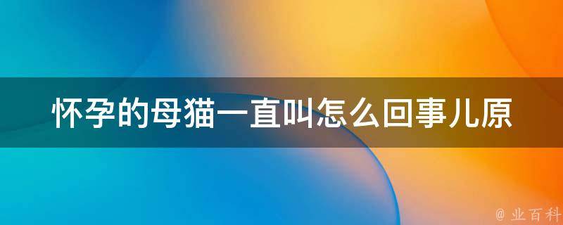 怀孕的母猫一直叫怎么回事儿_原因分析及解决方法