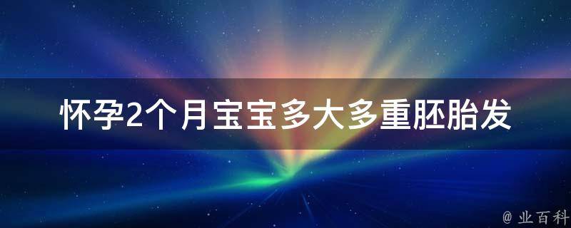 怀孕2个月宝宝多大多重(胚胎发育情况及孕妇注意事项)