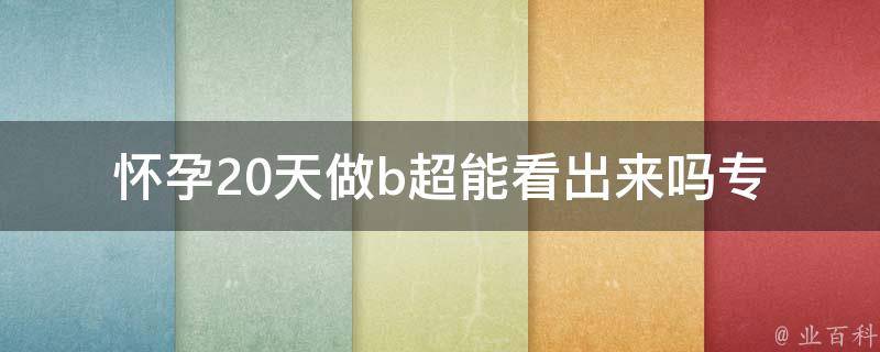 怀孕20天做b超能看出来吗_专家解答：b超检查孕早期的注意事项。