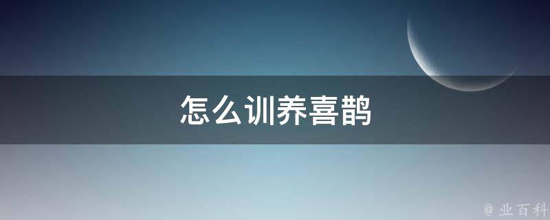 怎么训养喜鹊 