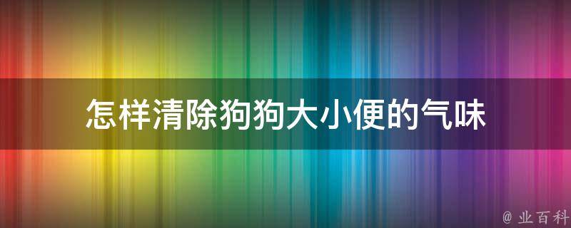 怎样清除狗狗大小便的气味 