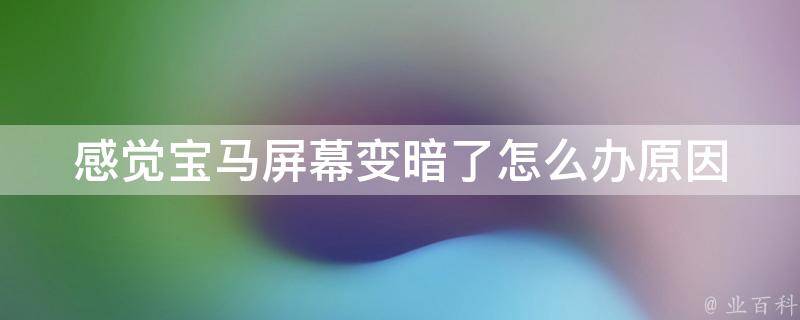 感觉宝马屏幕变暗了怎么办_原因分析及解决方法